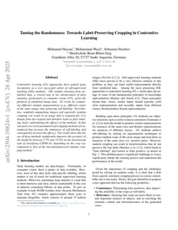 Taming the Randomness: Towards Label-Preserving Cropping in Contrastive Learning