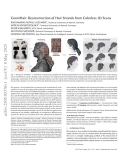 GeomHair: Reconstruction of Hair Strands from Colorless 3D Scans