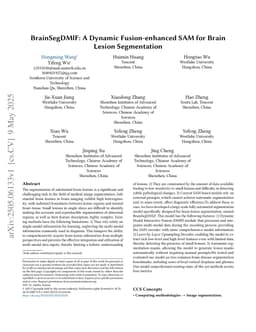 BrainSegDMlF: A Dynamic Fusion-enhanced SAM for Brain Lesion Segmentation