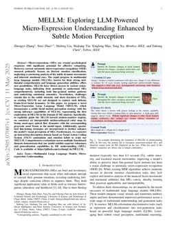 MELLM: Exploring LLM-Powered Micro-Expression Understanding Enhanced by Subtle Motion Perception