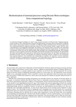 Skeletonization of neuronal processes using Discrete Morse techniques from computational topology