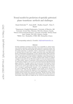 Neural models for prediction of spatially patterned phase transitions: methods and challenges