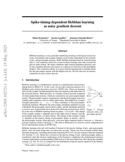 Spike-timing-dependent Hebbian learning as noisy gradient descent