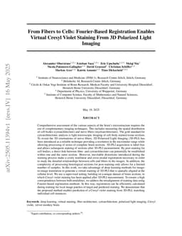 From Fibers to Cells: Fourier-Based Registration Enables Virtual Cresyl Violet Staining From 3D Polarized Light Imaging