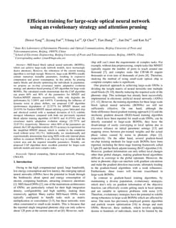 Efficient training for large-scale optical neural network using an evolutionary strategy and attention pruning