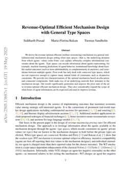 Revenue-Optimal Efficient Mechanism Design with General Type Spaces