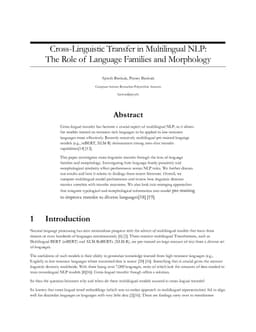 Cross-Linguistic Transfer in Multilingual NLP: The Role of Language Families and Morphology