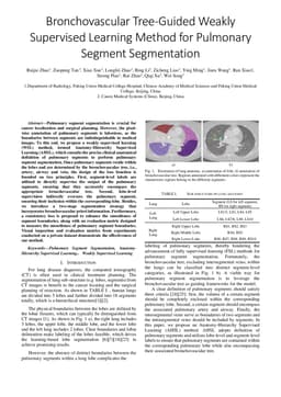 Bronchovascular Tree-Guided Weakly Supervised Learning Method for Pulmonary Segment Segmentation