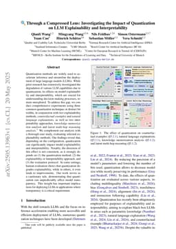Through a Compressed Lens: Investigating the Impact of Quantization on LLM Explainability and Interpretability