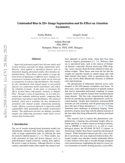 Unintended Bias in 2D+ Image Segmentation and Its Effect on Attention Asymmetry