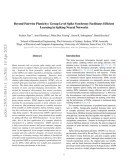 Beyond Pairwise Plasticity: Group-Level Spike Synchrony Facilitates Efficient Learning in Spiking Neural Networks
