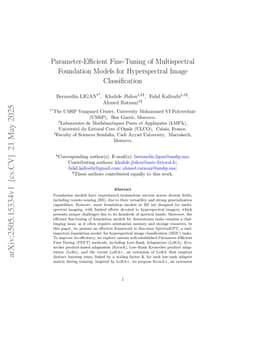 Parameter-Efficient Fine-Tuning of Multispectral Foundation Models for Hyperspectral Image Classification
