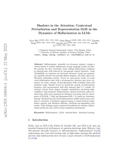 Shadows in the Attention: Contextual Perturbation and Representation Drift in the Dynamics of Hallucination in LLMs