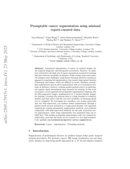 Promptable cancer segmentation using minimal expert-curated data