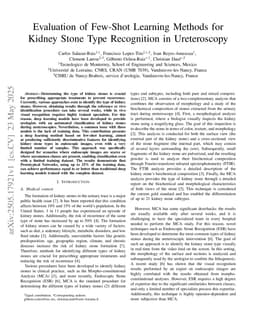 Evaluation of Few-Shot Learning Methods for Kidney Stone Type Recognition in Ureteroscopy