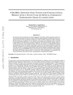 COLORA: Efficient Fine-Tuning for Convolutional Models with a Study Case on Optical Coherence Tomography Image Classification
