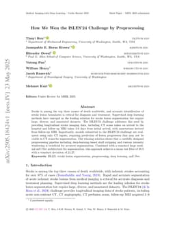 How We Won the ISLES'24 Challenge by Preprocessing