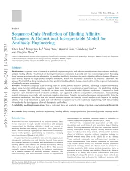 Sequence-Only Prediction of Binding Affinity Changes: A Robust and Interpretable Model for Antibody Engineering