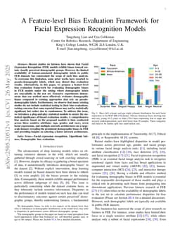 A Feature-level Bias Evaluation Framework for Facial Expression Recognition Models