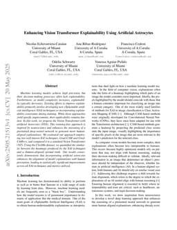 Enhancing Vision Transformer Explainability Using Artificial Astrocytes