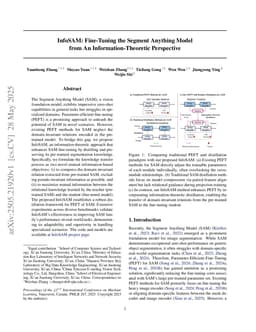 InfoSAM: Fine-Tuning the Segment Anything Model from An Information-Theoretic Perspective