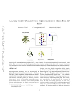 Learning to Infer Parameterized Representations of Plants from 3D Scans
