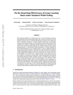 On the Surprising Effectiveness of Large Learning Rates under Standard Width Scaling