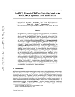 Surf2CT: Cascaded 3D Flow Matching Models for Torso 3D CT Synthesis from Skin Surface