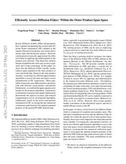Efficiently Access Diffusion Fisher: Within the Outer Product Span Space