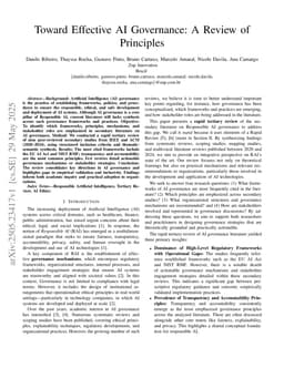 Toward Effective AI Governance: A Review of Principles