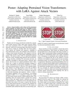 LoRA as a Flexible Framework for Securing Large Vision Systems