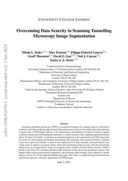 Overcoming Data Scarcity in Scanning Tunnelling Microscopy Image Segmentation