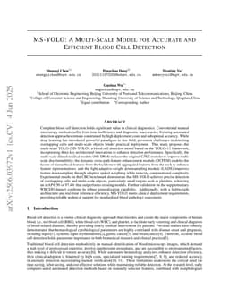 MS-YOLO: A Multi-Scale Model for Accurate and Efficient Blood Cell Detection