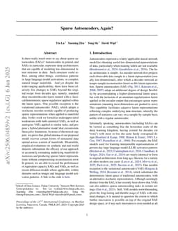 Sparse Autoencoders, Again?