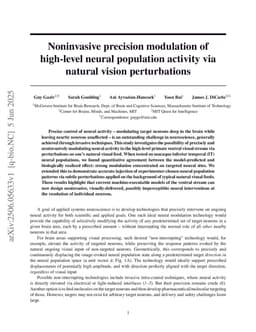 Noninvasive precision modulation of high-level neural population activity via natural vision perturbations