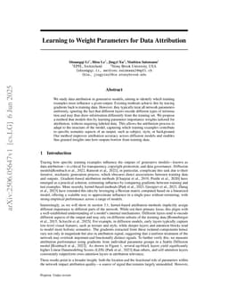Learning to Weight Parameters for Data Attribution
