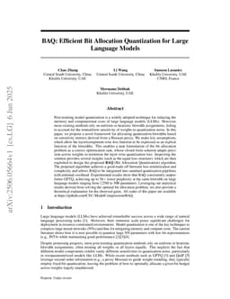 BAQ: Efficient Bit Allocation Quantization for Large Language Models