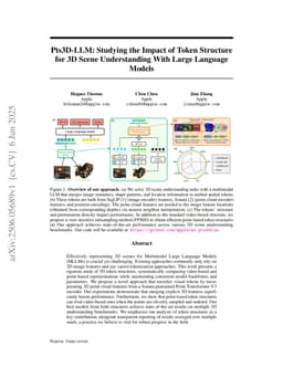 Pts3D-LLM: Studying the Impact of Token Structure for 3D Scene Understanding With Large Language Models