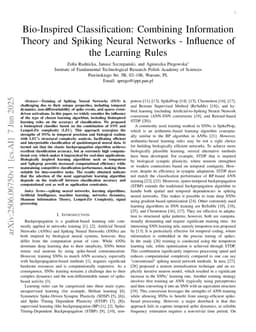 Bio-Inspired Classification: Combining Information Theory and Spiking Neural Networks -- Influence of the Learning Rules