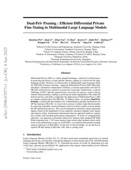 Dual-Priv Pruning : Efficient Differential Private Fine-Tuning in Multimodal Large Language Models