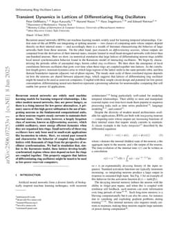 Transient Dynamics in Lattices of Differentiating Ring Oscillators