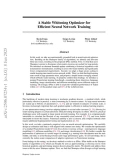 A Stable Whitening Optimizer for Efficient Neural Network Training