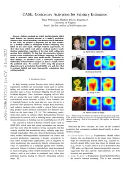 CASE: Contrastive Activation for Saliency Estimation