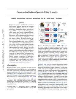 Circumventing Backdoor Space via Weight Symmetry