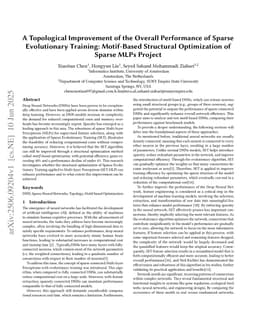 A Topological Improvement of the Overall Performance of Sparse Evolutionary Training: Motif-Based Structural Optimization of Sparse MLPs Project