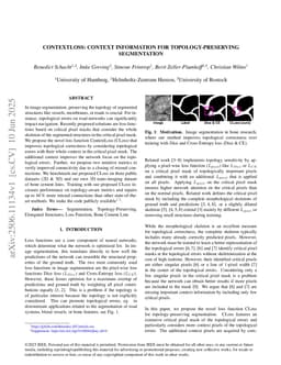 ContextLoss: Context Information for Topology-Preserving Segmentation