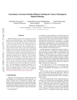Uncertainty Awareness Enables Efficient Labeling for Cancer Subtyping in Digital Pathology