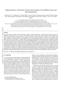 Enhancing Privacy: The Utility of Stand-Alone Synthetic CT and MRI for Tumor and Bone Segmentation