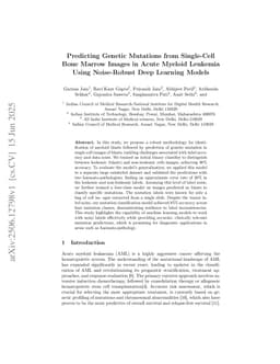 Predicting Genetic Mutations from Single-Cell Bone Marrow Images in Acute Myeloid Leukemia Using Noise-Robust Deep Learning Models