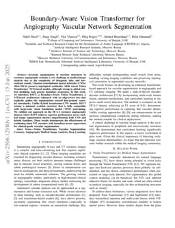 Boundary-Aware Vision Transformer for Angiography Vascular Network Segmentation